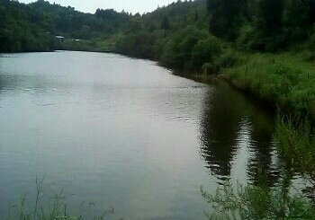 雅涵养鸭场钓鱼场