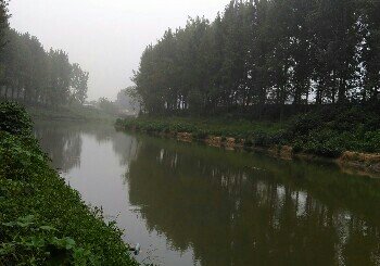 黄桥方向小草河