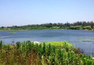 朱家角农场水库