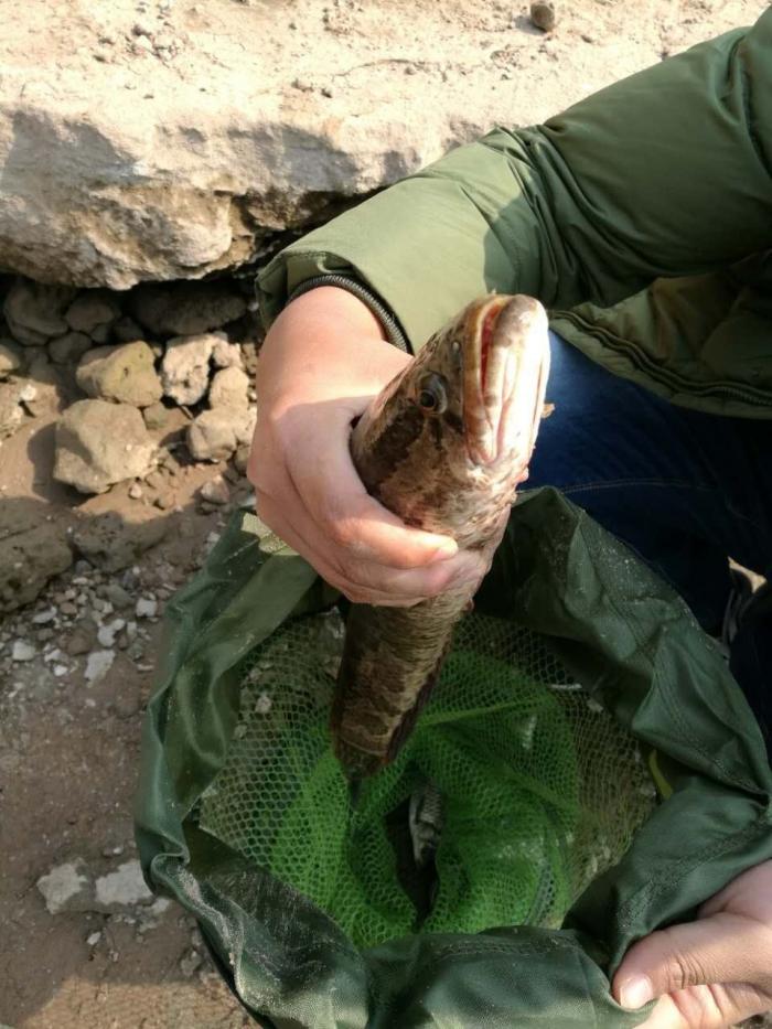 火光白洋冲水库