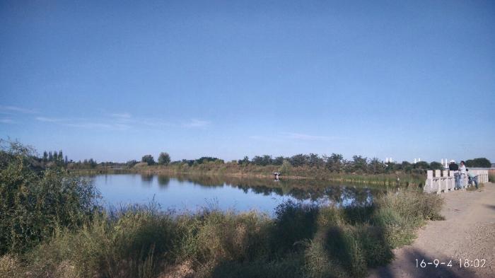 孙文野生鱼垂钓