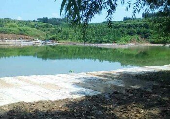 郭庄南桥人工湖垂钓园