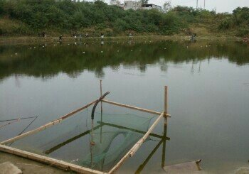 东高村田园垂钓园