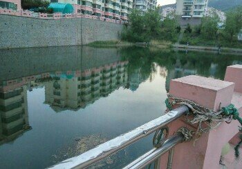 泰安路小区北面的水库