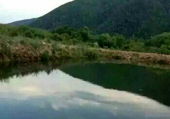 大五道一鸣钓场