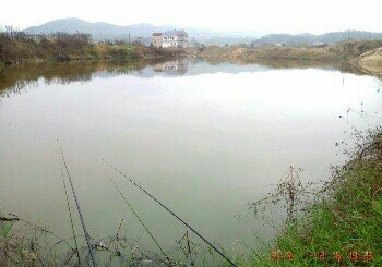 青山桥老河沙塘