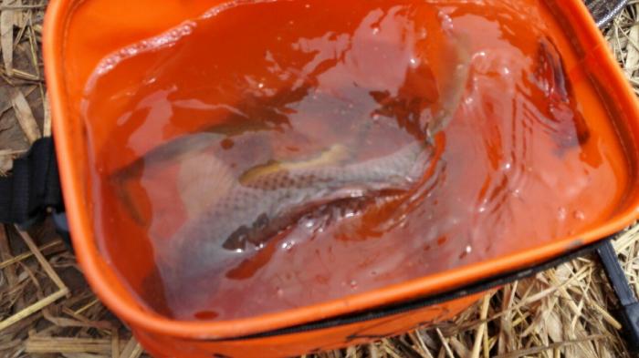 黄河湾度假酒店