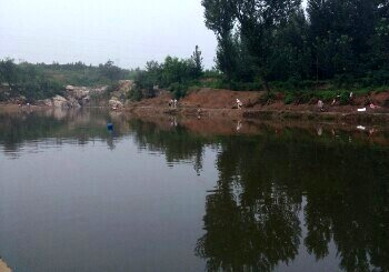 花果山大物鱼池