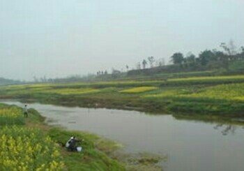 上河湾钓场