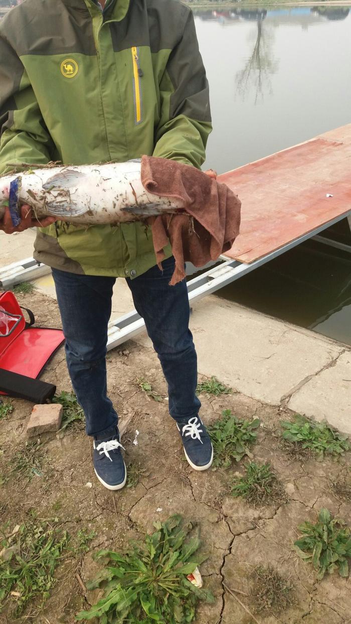 顶一目钓场二分场