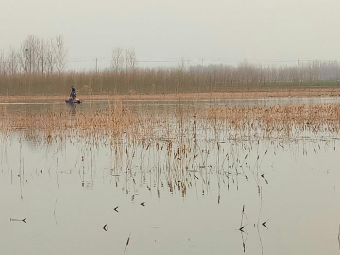 赵堤中州垂钓园