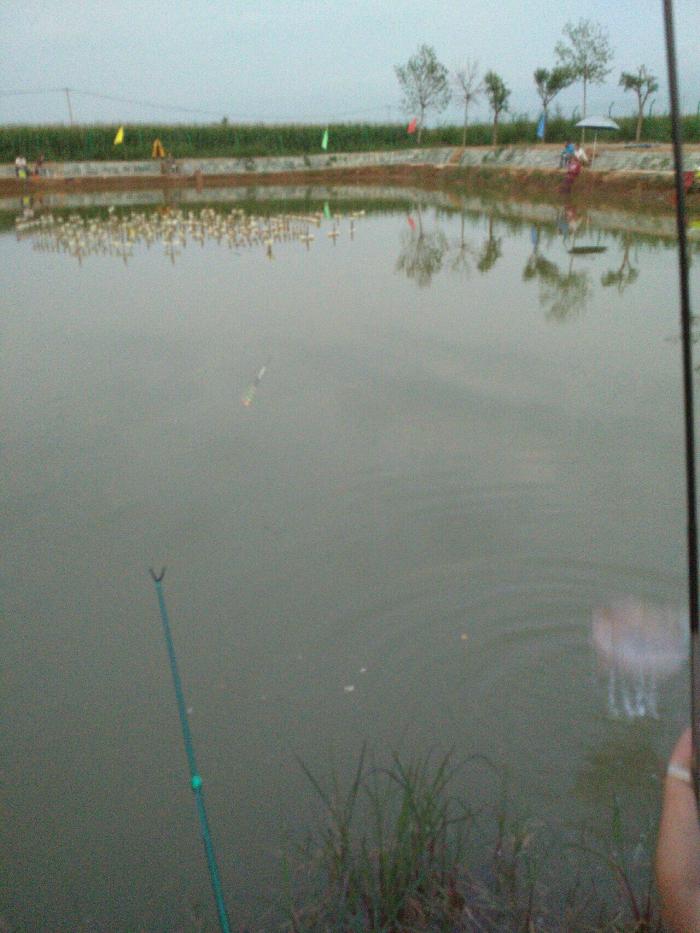 宏园生态垂钓园