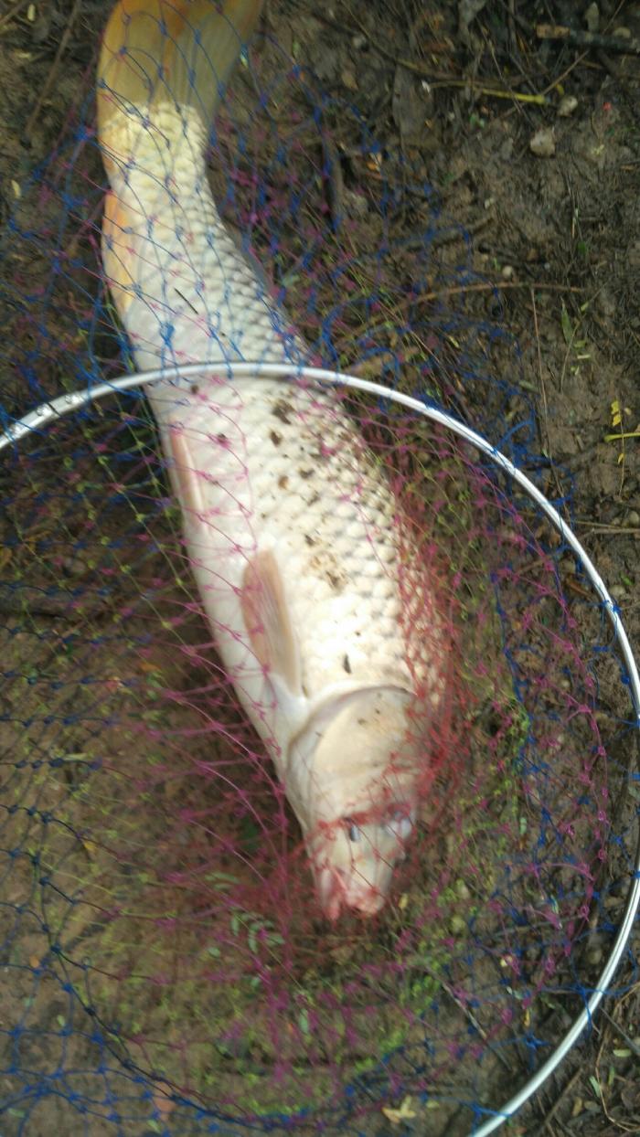 矽感产业园钓场