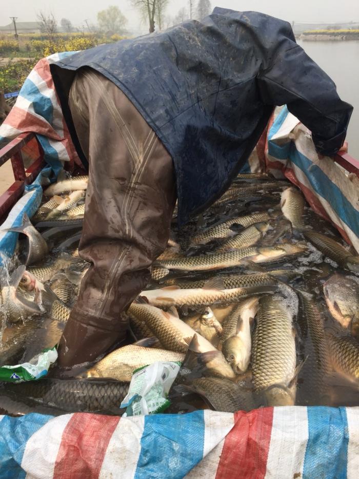 星期八垂钓爱好者