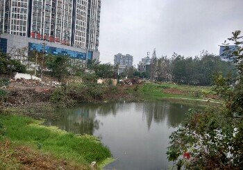 徽昌大厦对面塘