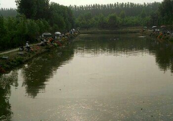 一亩三分地家庭农场