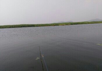 东平湖南水北调出水口