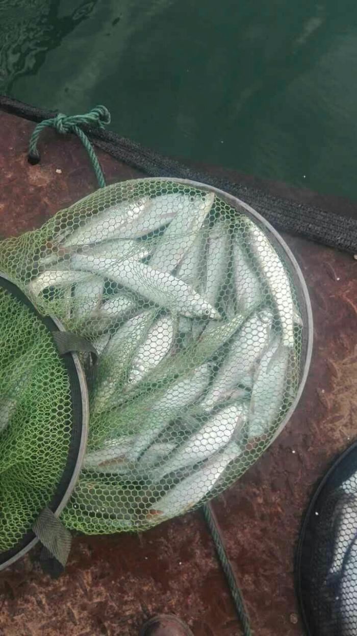 闫家沟筏钓基地