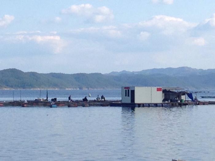 均县老吕伐钓场