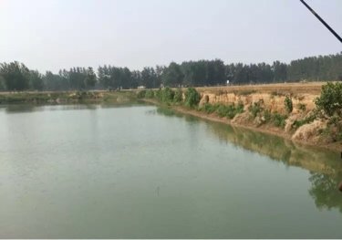 张西楼泉水垂钓塘