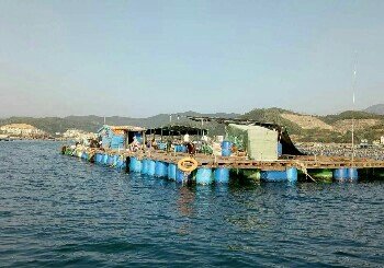 南澳龙仔1号钓鱼排