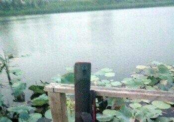 蒲河太湖国际对面