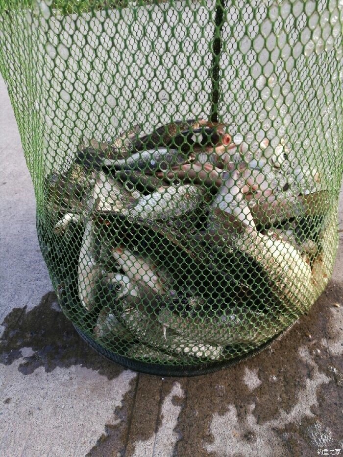 一干河店岸大桥段