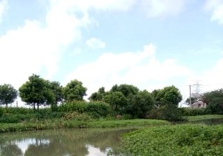 马路河德都路支流