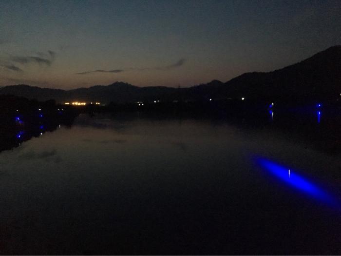 横溪丁湾金桂鱼塘