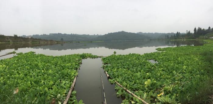 富牛镇牛路口村