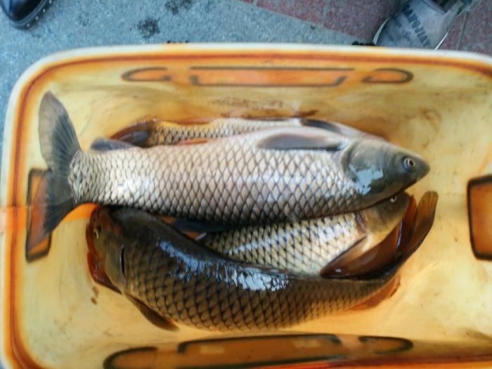 高坪王家店北虎嘴水库