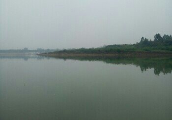 邕江金鸡村钓点