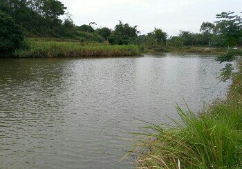 屯里开田农家乐