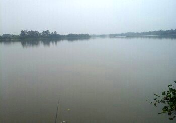 谭江下游蚬冈河段