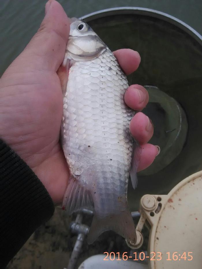 小光鱼业养殖基地