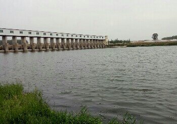 洙赵新河于楼段