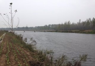 废黄河旧县大桥