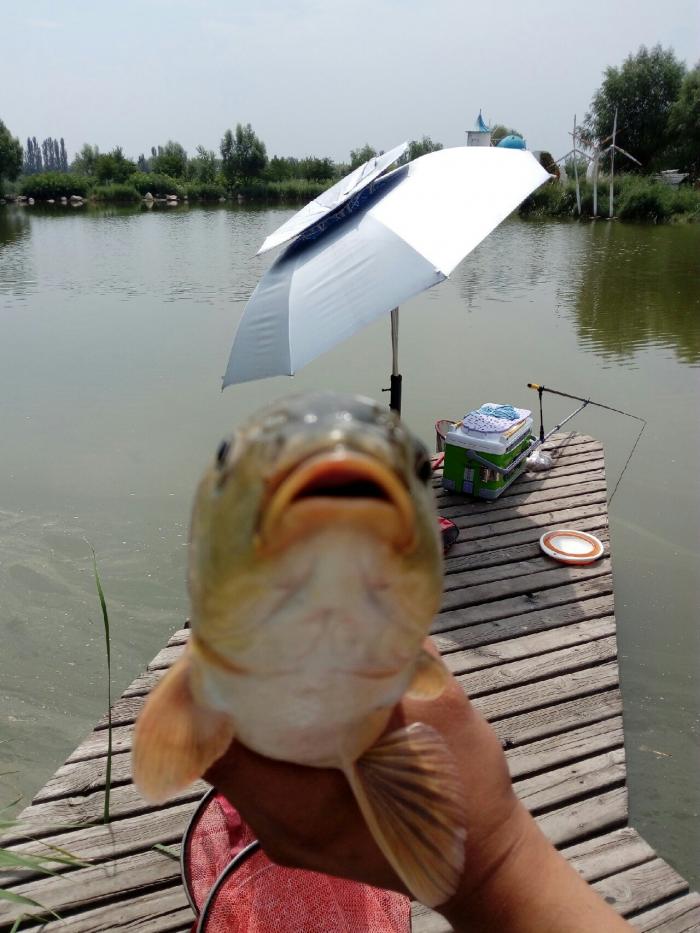 南湖湿地静海钓场