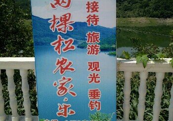 两棵松农家乐