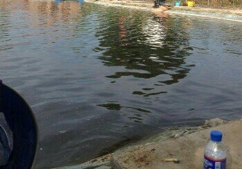 黑坑江湖垂钓园