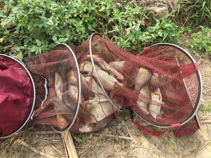 中新镇福和永兴钓场