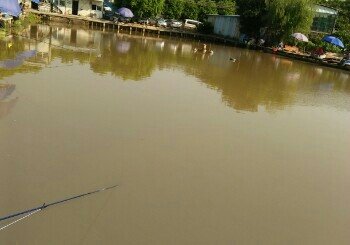 金山休闲钓鱼场