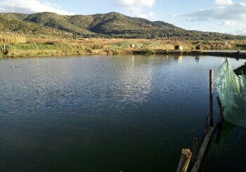 窑塘垂钓生态园