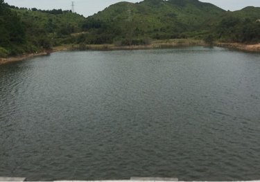 灵谷峰垂钓基地