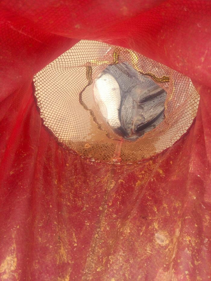 三江生态垂钓园