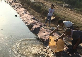 禹城四季垂钓园