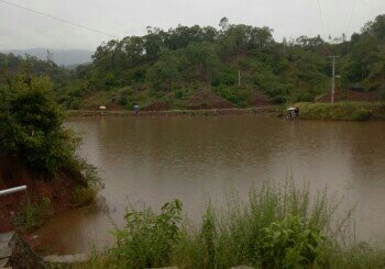 彩云钓客钓鱼场