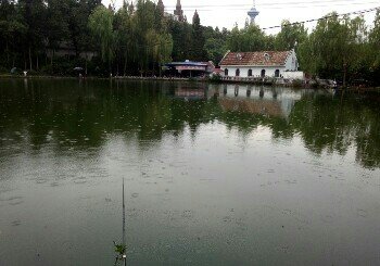 文化娱乐城鱼塘