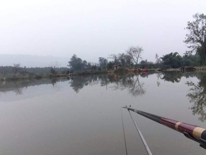 新七星村垂钓塘