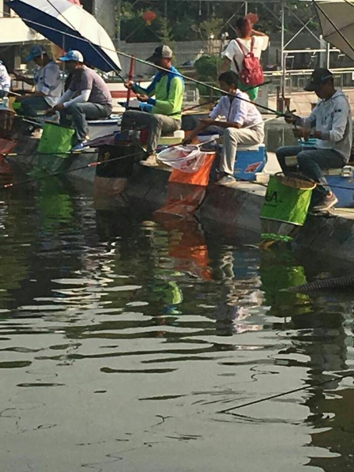 长江向坪段溪沟河流